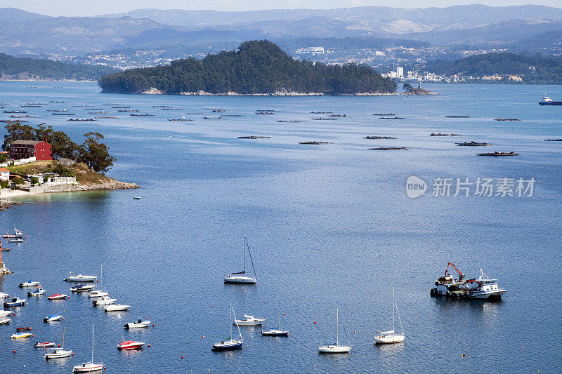 Ria de Pontevedra，坦博岛，背景来自西班牙加利西亚的Rias Baixas的Raxo村。